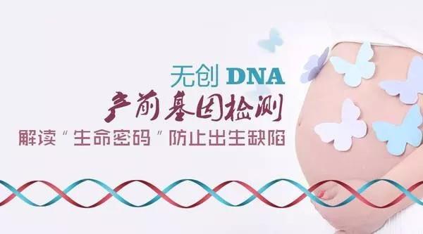 臨淄區(qū)無創(chuàng)產(chǎn)前基因篩查補(bǔ)助這樣發(fā)放